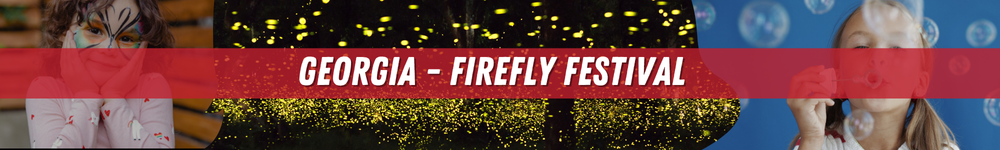 Georgia Firefly Festival Graphic